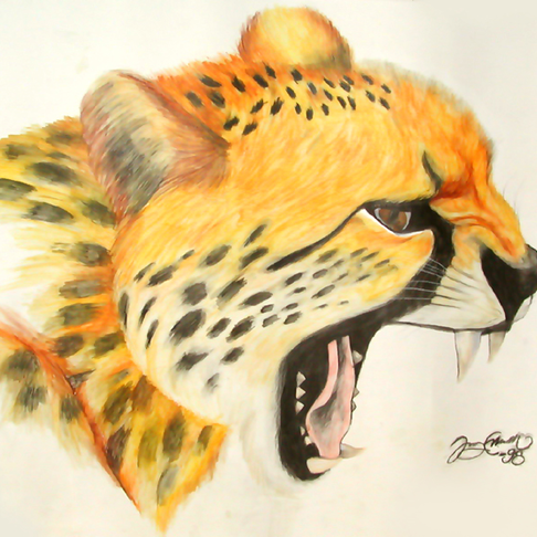 Gepard i frg Gepard i frg