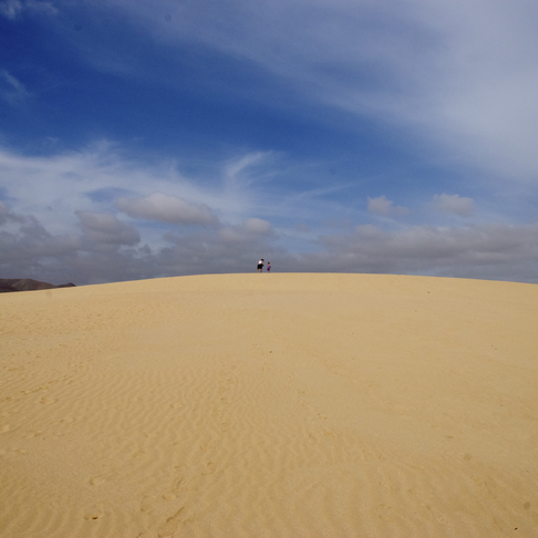 Sanddyner
